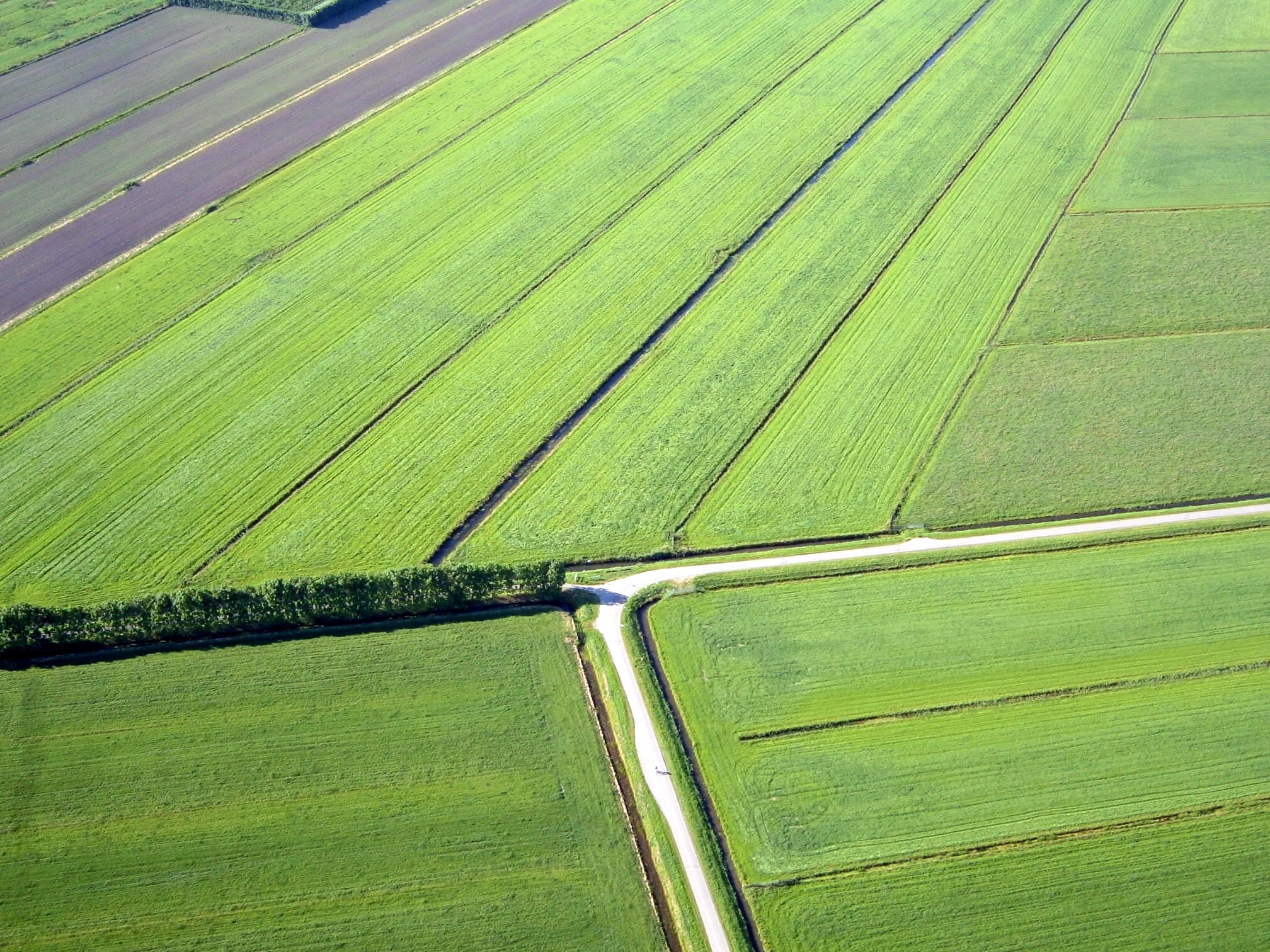 Paragliders boven Nederland